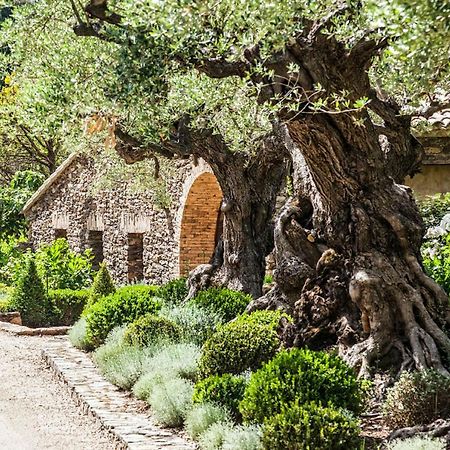 Отель Domaine Les Mesanges Гассен Экстерьер фото