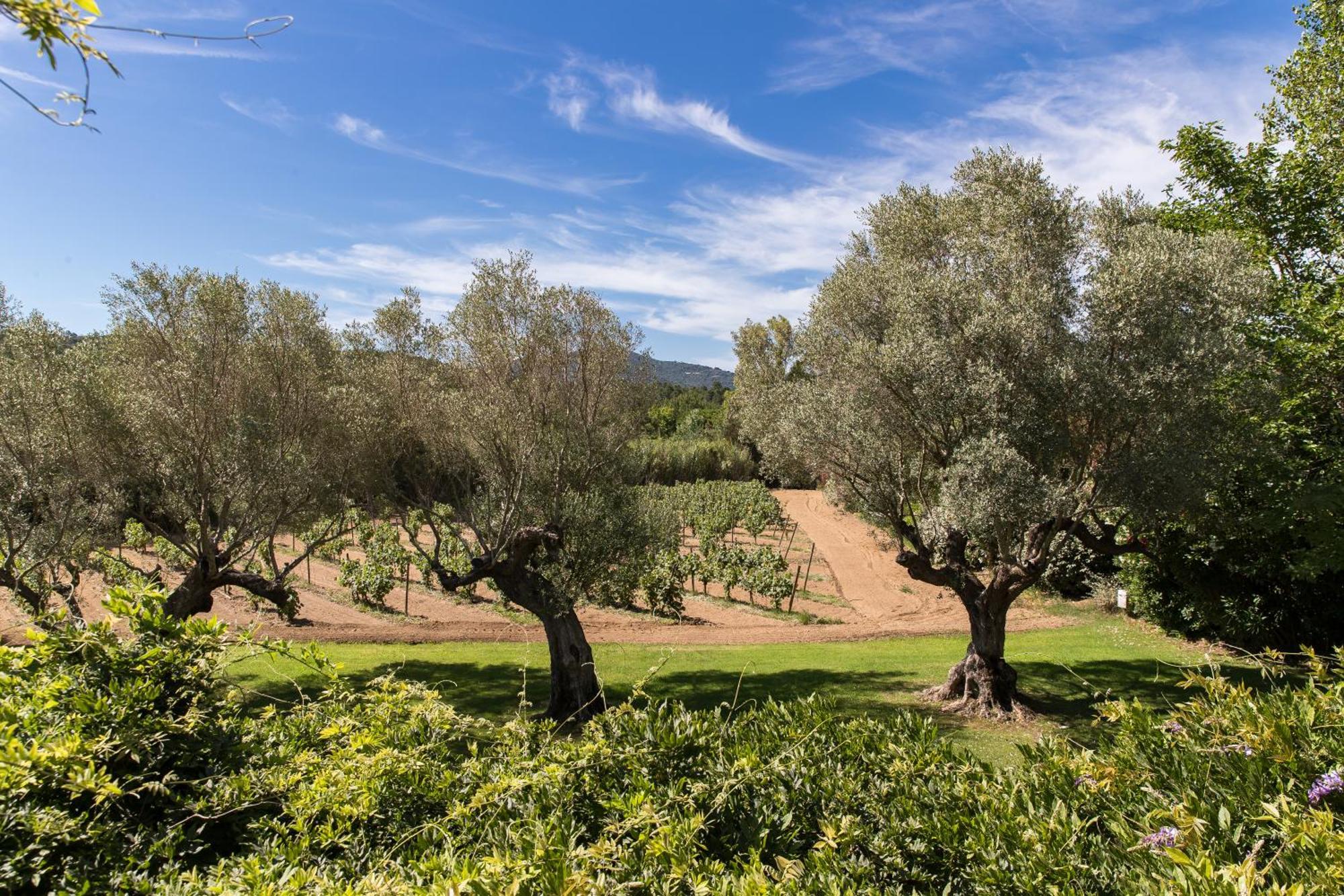 Отель Domaine Les Mesanges Гассен Экстерьер фото